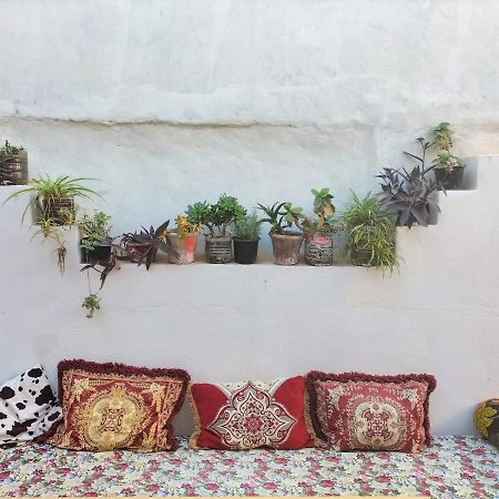 Hostel Zicatela Taghazout Eksteriør billede
